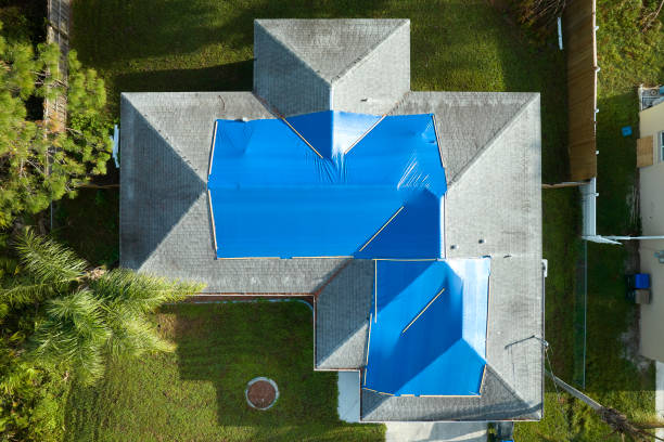 Best Rubber Roofing (EPDM, TPO)  in Pecatonica, IL