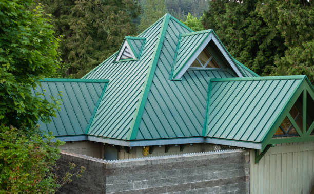 Best Commercial Roofing Services  in Pecatonica, IL