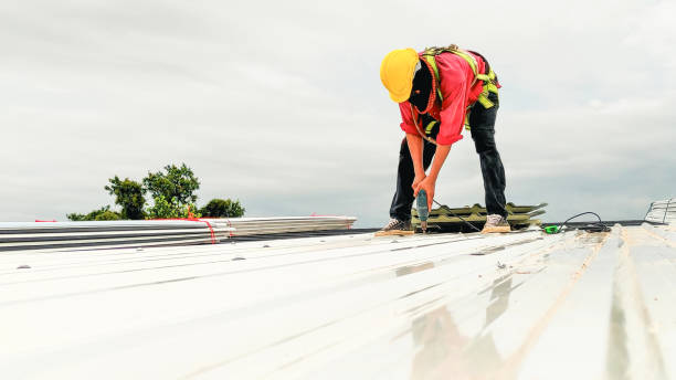 Best Emergency Roof Repair Services  in Pecatonica, IL