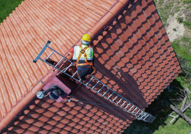 Best Roofing for New Construction  in Pecatonica, IL