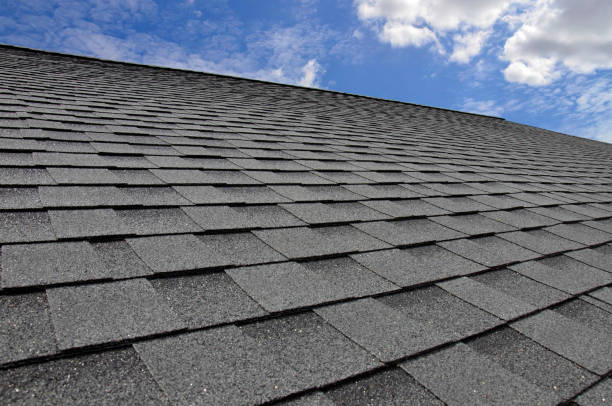 Best Asphalt Shingle Roofing  in Pecatonica, IL